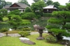 Katsura