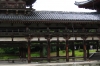 Uji